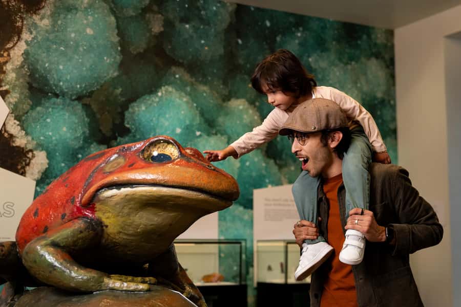 San Diego: San Diego Natural History Museum Ticket - Starting your visit at San Diego’s oldest museum