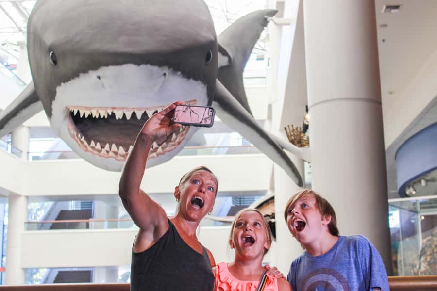 San Diego: San Diego Natural History Museum Ticket - Expedition Baja and the science of a nearby wilderness