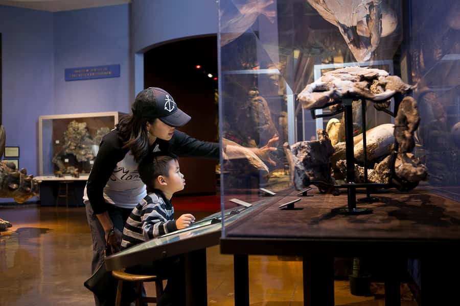 San Diego: San Diego Natural History Museum Ticket - The Backyard for children ages 0 to 5