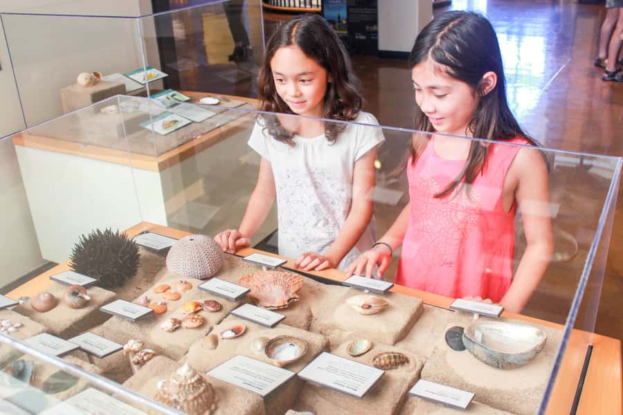 San Diego: San Diego Natural History Museum Ticket - Citizen science and the museum’s working ideas