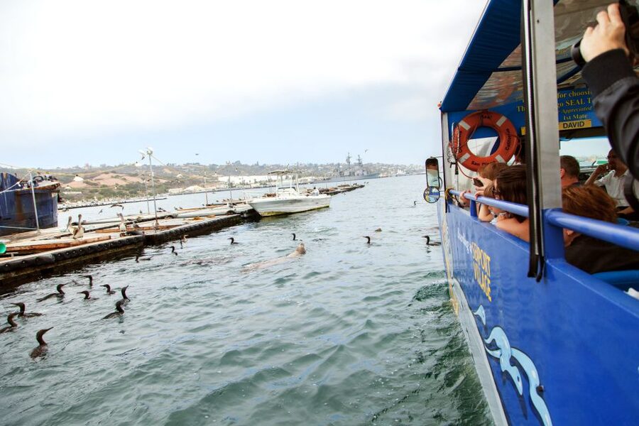San Diego: SEAL City Tour by Amphibious Bus - Is $55 a fair price?