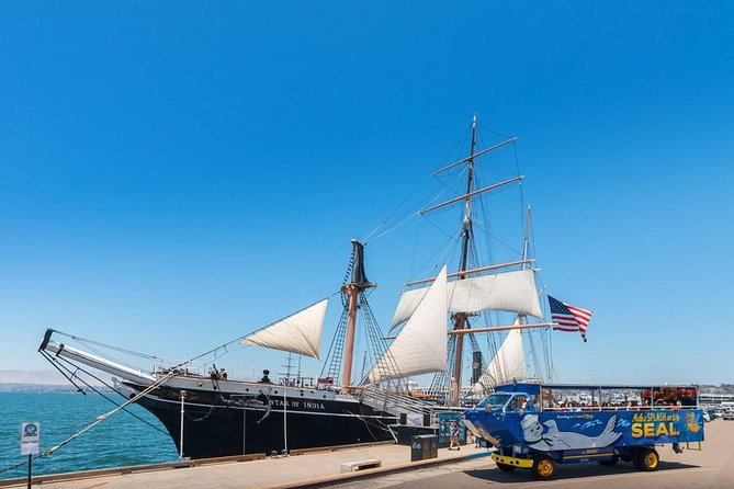 San Diego Shore Excursion: San Diego Seal Tour - Guides make the difference