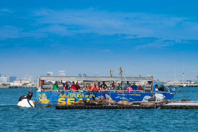 San Diego Shore Excursion: San Diego Seal Tour - Who will enjoy this most?
