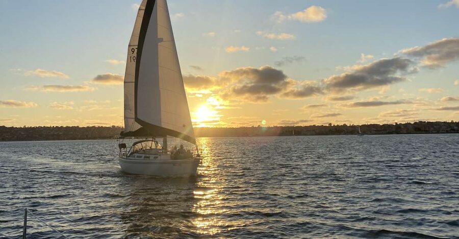 San Diego: Sunset and Day Sailing Excursion with Drinks - Wildlife spotting around the harbor