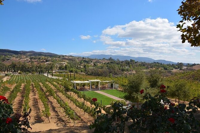 San Diego to Temecula: Wine Country Tour & Historic Old Town - Callaway Vineyard and the final valley view