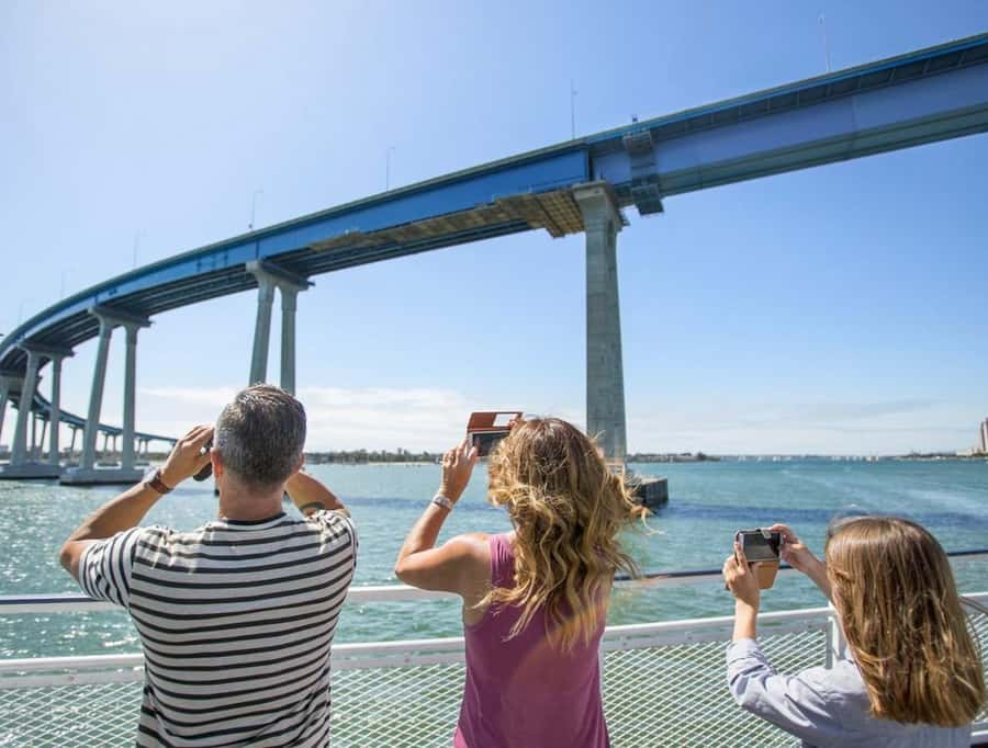 San Diego: Whale and Dolphin Watching Cruise - Is $77 a fair price?