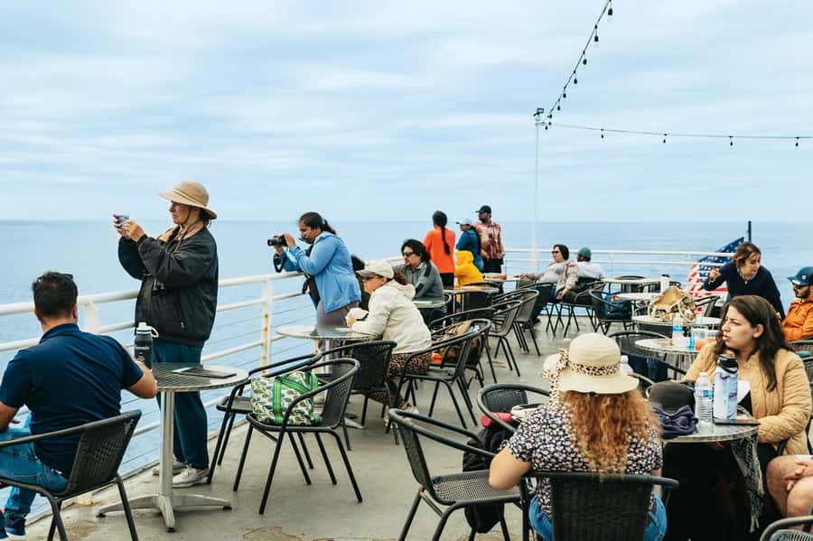 San Diego: Whale and Dolphin Watching Cruise - Who will enjoy this cruise most?