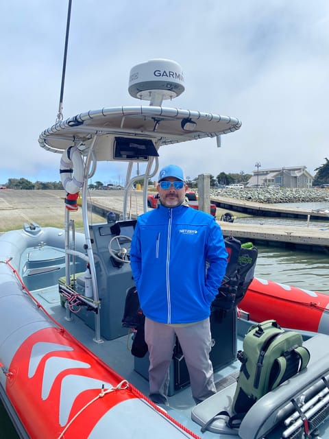 San Diego: Whale and Dolphin Watching Speedboat Tour - Key points for deciding quickly