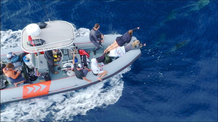 San Diego: Whale and Dolphin Watching Speedboat Tour - What to bring for a comfortable ride