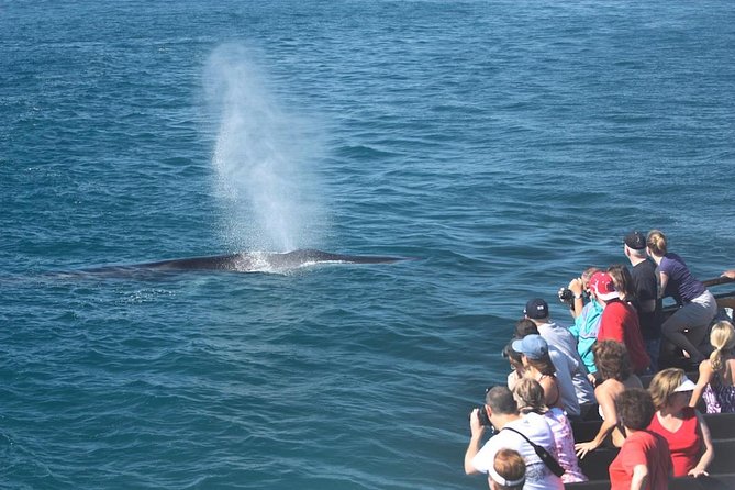 San Diego Whale Watching Cruise - Leaving North Harbor for open water