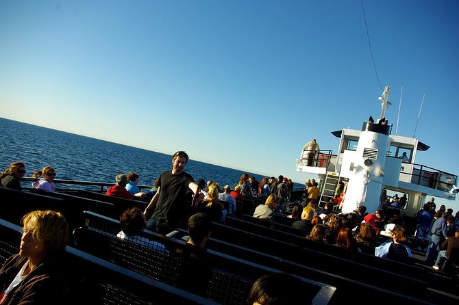 San Diego Whale Watching Cruise - How good is the $54 value?