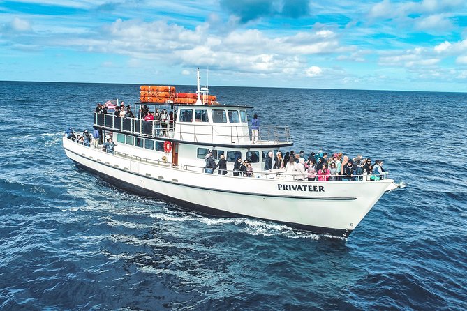 San Diego Whale Watching & Dolphin Cruise - Naturalists, microphones, and what you will hear