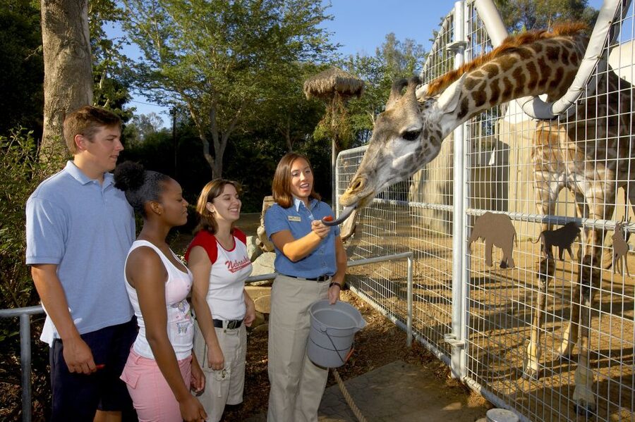 San Diego Zoo: 1-Day Admission Ticket - Key points to know before you go