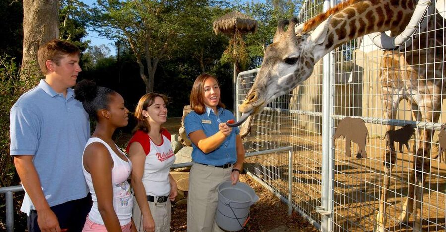 San Diego Zoo: 1-Day Admission Ticket - Why this zoo deserves a full day