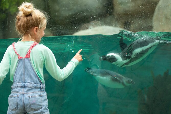San Diego Zoo 1-Day Pass: Any Day Ticket - Keeper talks, the nursery, and hands-on areas