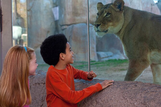 San Diego Zoo and Safari Park 2-Visit Pass Ticket - Why one day for both parks is a bad plan