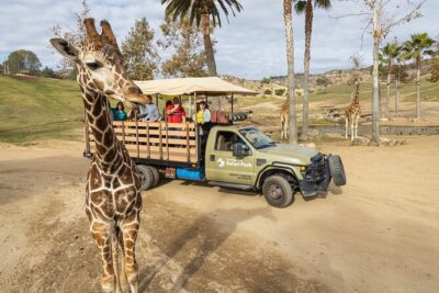 San Diego Zoo and Safari Park 2-Visit Pass Ticket