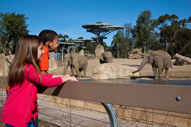 San Diego Zoo and Safari Park 2-Visit Pass Ticket - What the pass does not cover