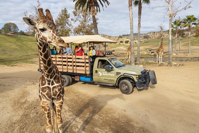 San Diego Zoo and Safari Park 2-Visit Pass Ticket - The Safari Park: open space and longer walks