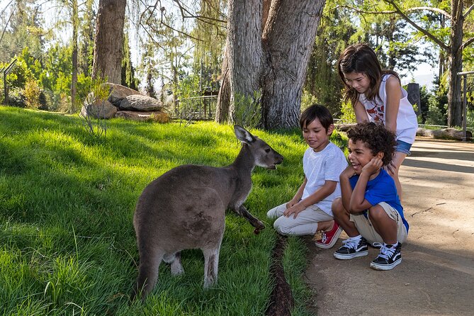 San Diego Zoo Safari Park 1-Day Pass: Any Day Ticket - Lions, tigers, rhinos, and condors