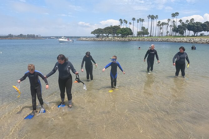 Snorkel San Diego's Mission Bay with a Marine Biologist - Why Mission Bay works for beginner snorkeling