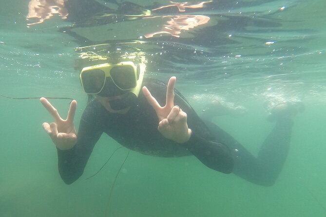 Snorkel San Diego's Mission Bay with a Marine Biologist - What makes the photos useful