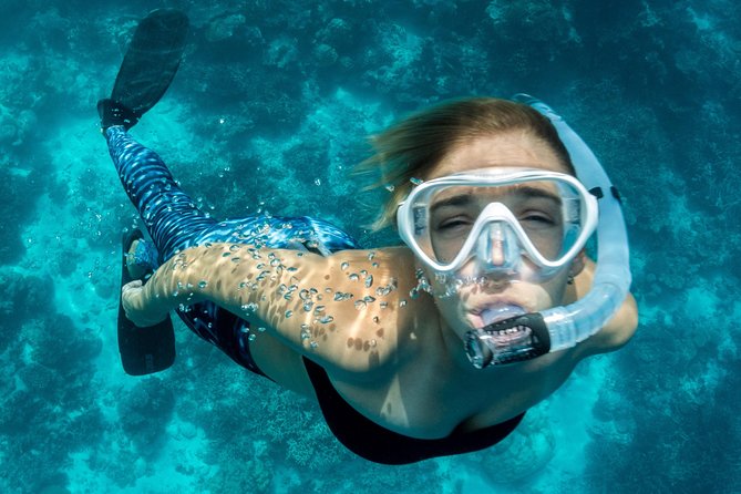 Snorkeling Adventure in La Jolla - Key points to know before booking