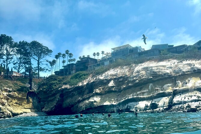 Snorkeling Adventure in La Jolla - How difficult is the swim?