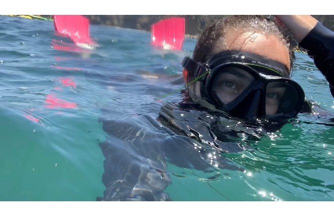 Snorkeling Adventure in La Jolla - Is the experience worth the cost?