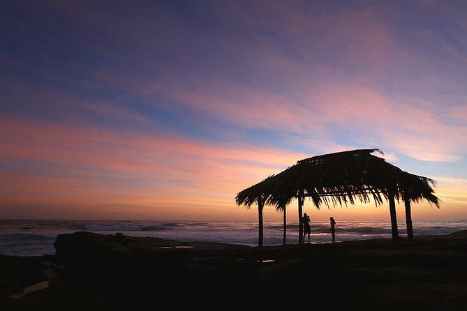 Sunset Electric Bike Tour of La Jolla - Ellen Browning Scripps Park and the La Jolla Cove area