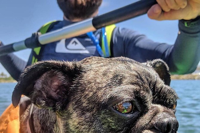 SUP Rental - The first minutes on the water