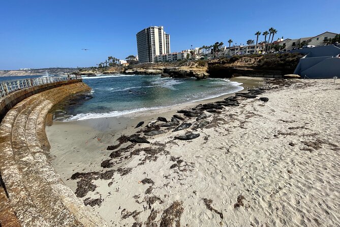 The Plunge E-Bike Tour in La Jolla - Riding past La Jolla’s expensive homes