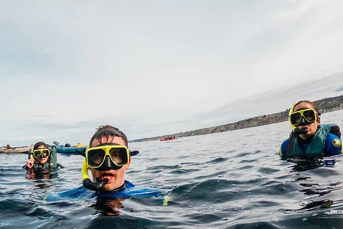 Two Hour Kayak and Snorkel Tour for Two in La Jolla - What you actually do at La Jolla Cove