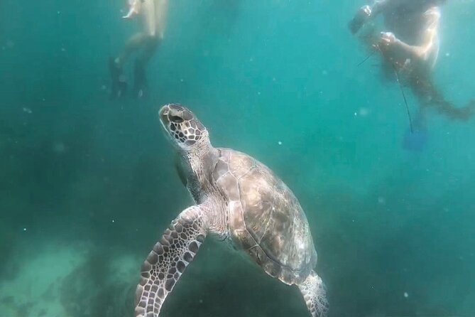 Two Hour Kayak and Snorkel Tour for Two in La Jolla - Timing, meeting point, and what to bring
