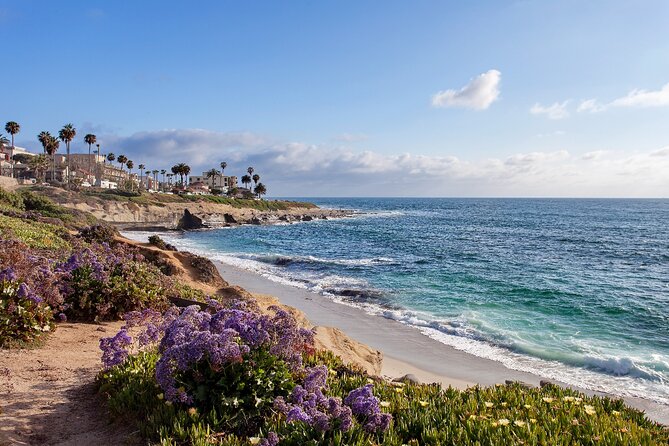 Ultimate La Jolla Self-Guided Driving & Walking Audio Tour Bundle - Children’s Pool and the practical side of La Jolla